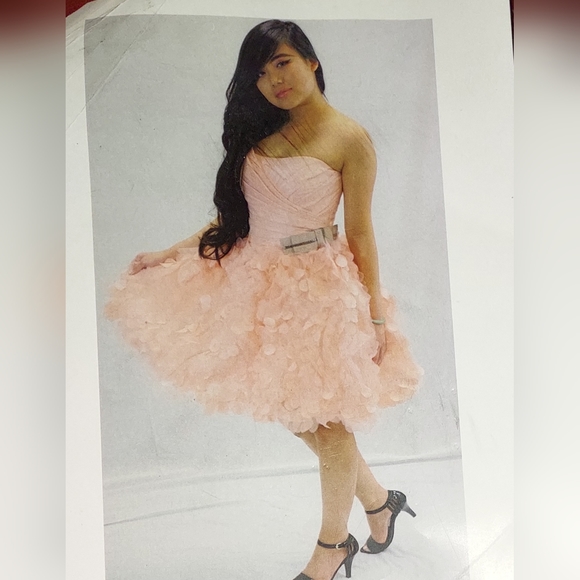 Love 16 Clove Pink Dress NWT size 2 Corset Back Enzoani PROM Special Events - Picture 2 of 6